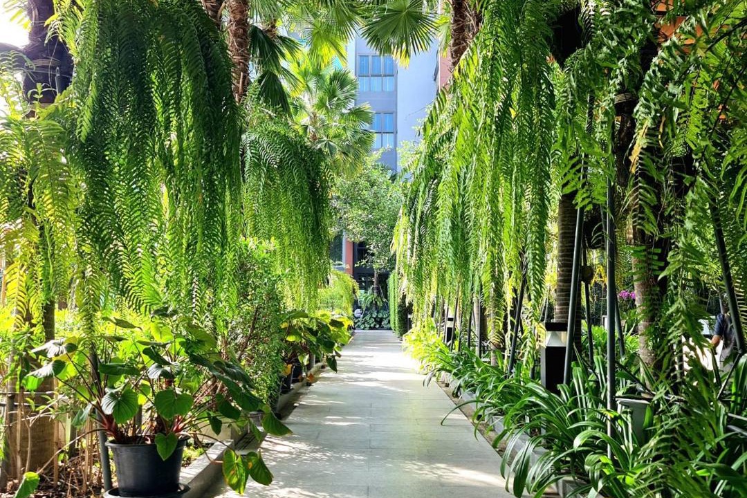 Nai Mueang Hotel | AisanA Hotel Korat