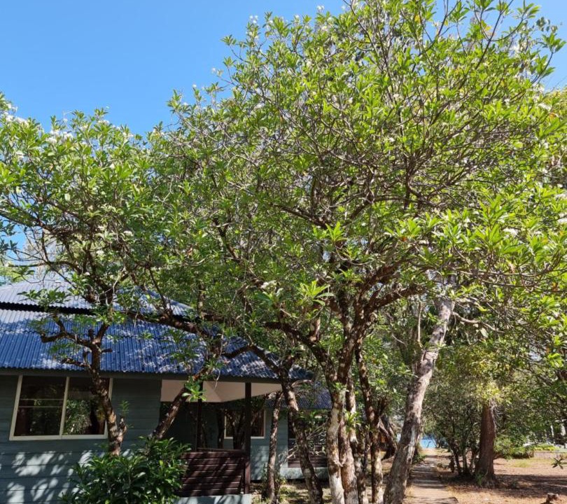 Ranong Resort | Phayam Cottage Resort