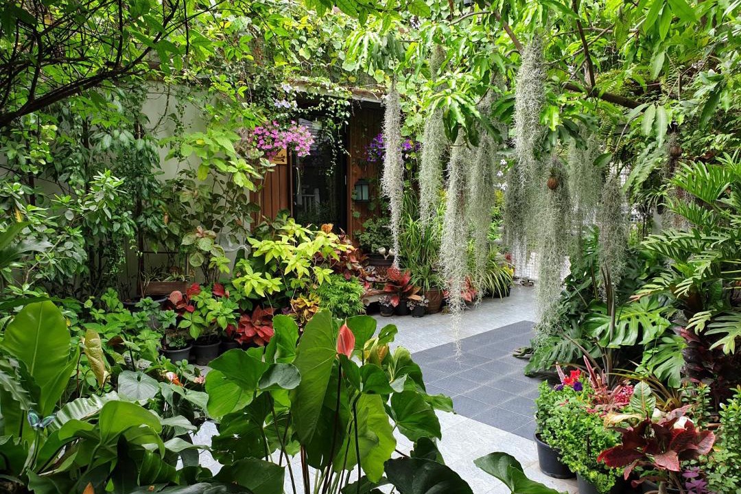 Talat Bang Khen House | 37 Nature House