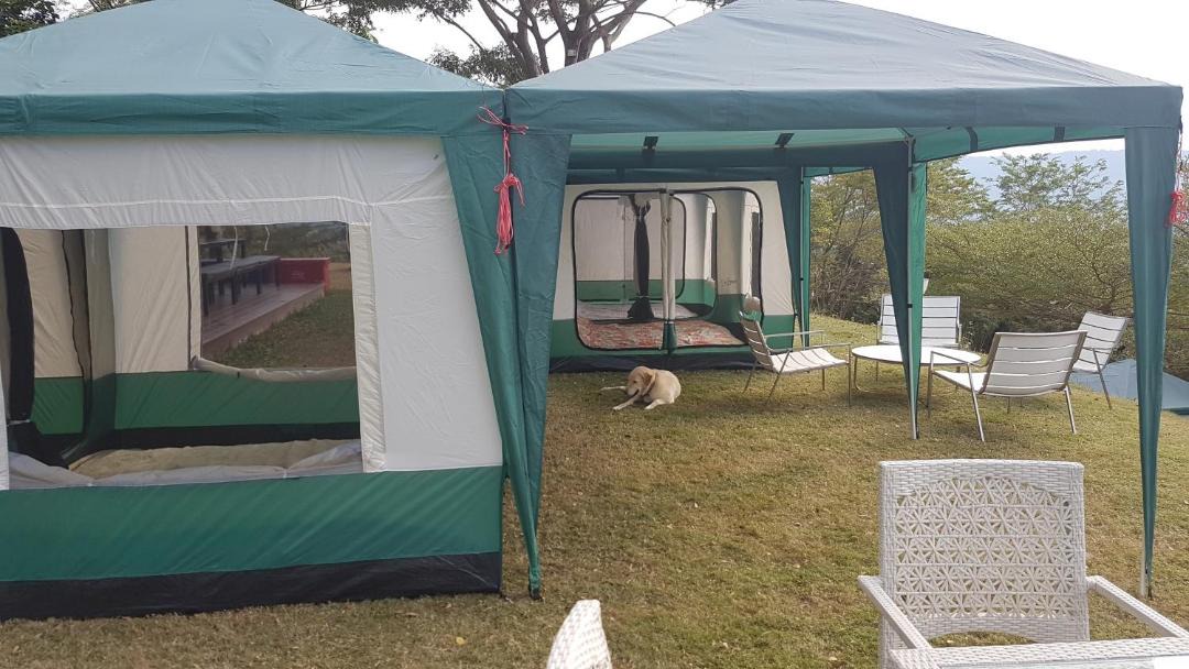 Wang Mi Other | Plantation View Camping