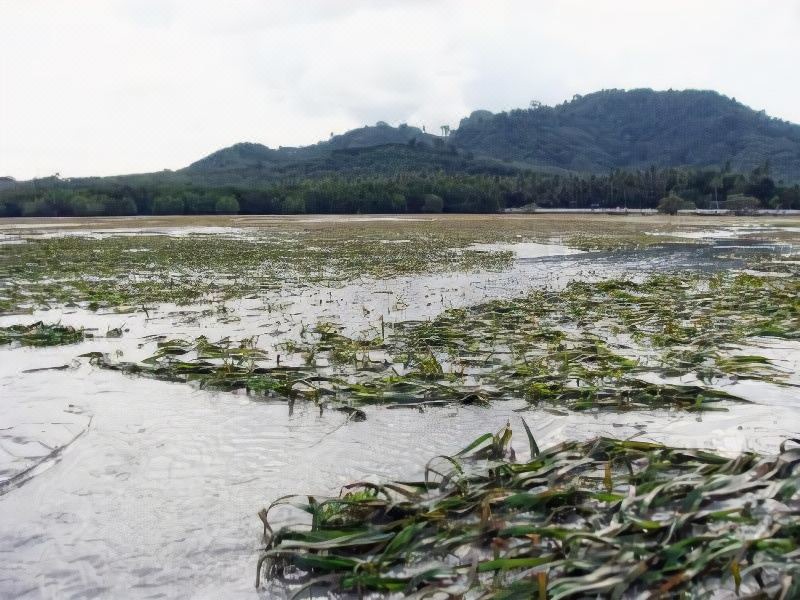 Photo of Outdoor in Ko Mook