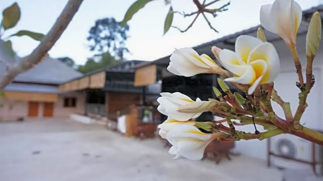 Photo of Others in Thong Pha Phum
