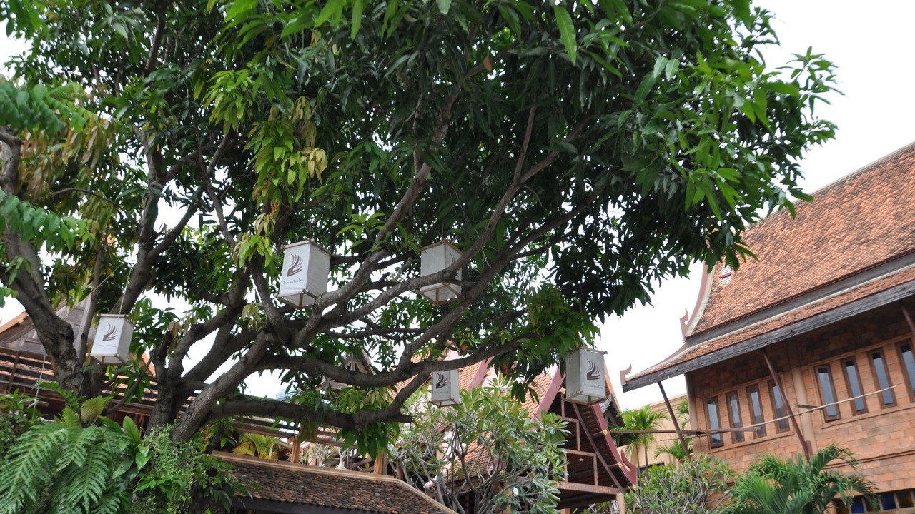 Photo of Buildings in Thani