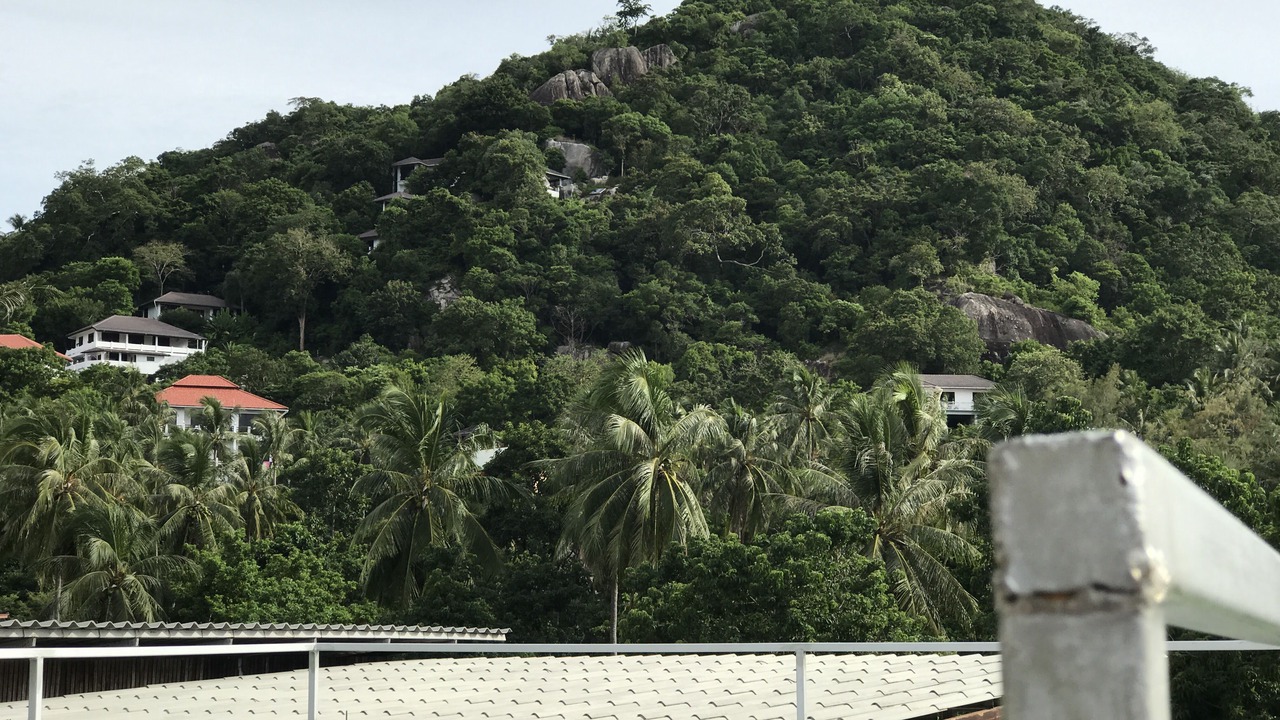 Photo of Others in Koh Tao