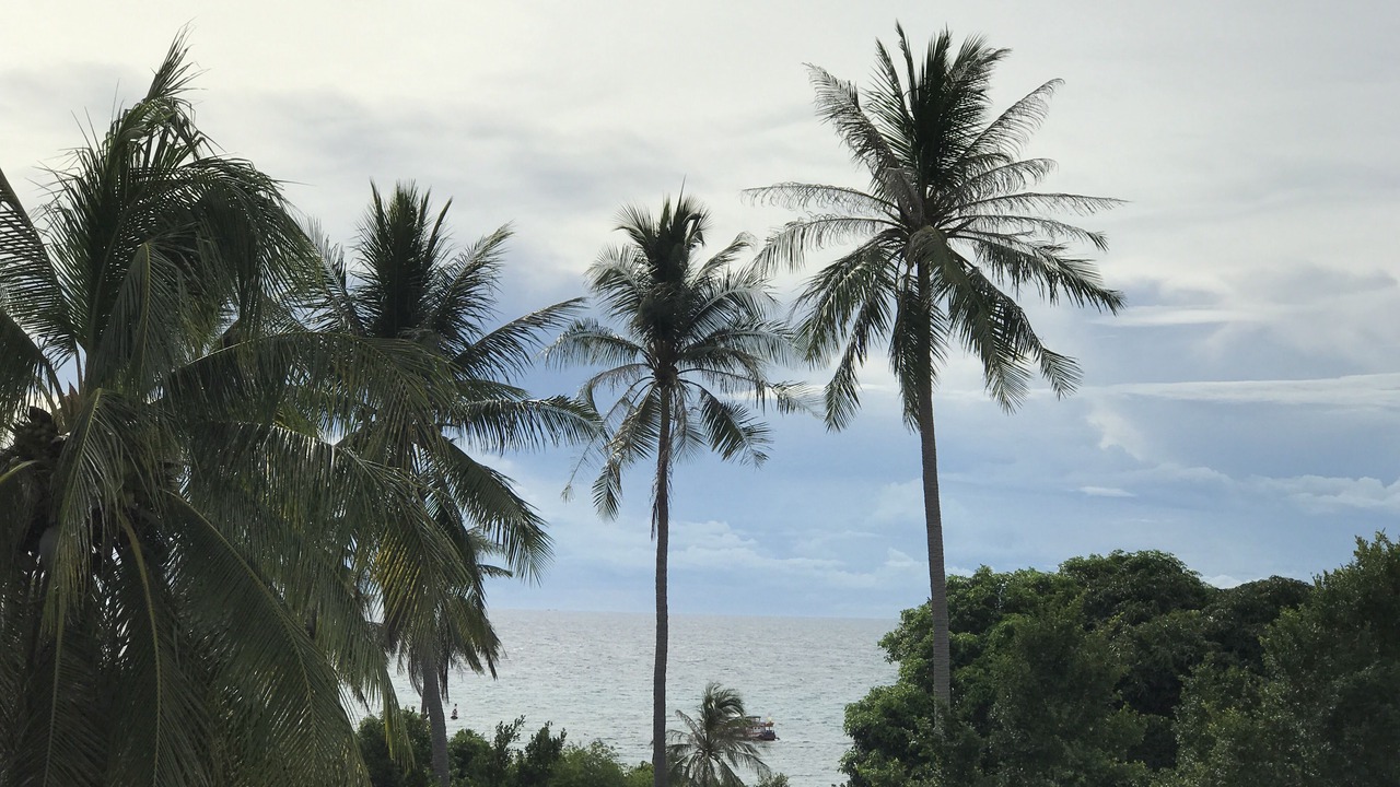 Photo of Outdoor in Koh Tao