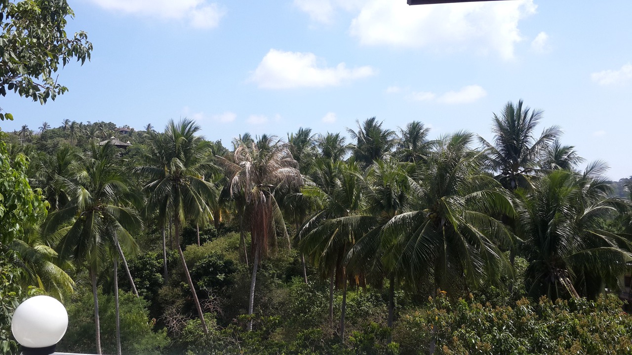 Photo of Outdoor in Koh Tao