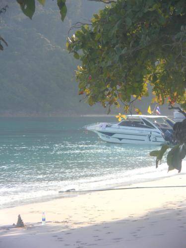 Photo of Others in Downtown Krabi
