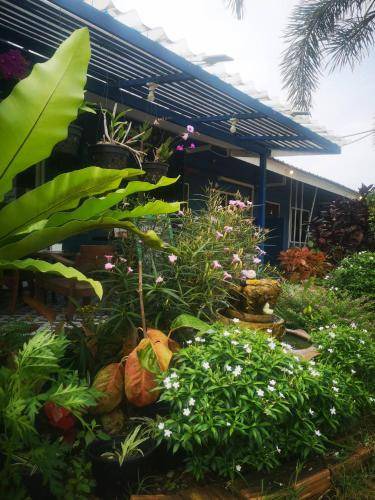 Photo of Others in Prachuap Khiri Khan