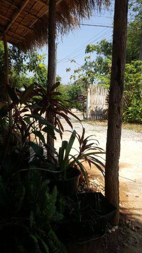 Photo of Outdoor in Sangkhla Buri