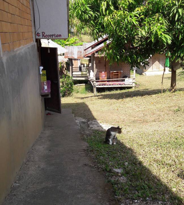Photo of Others in Pai