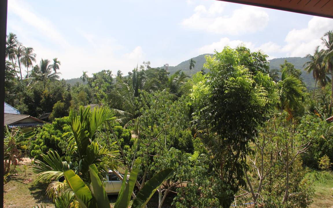 Photo of Others in Ko Pha-ngan
