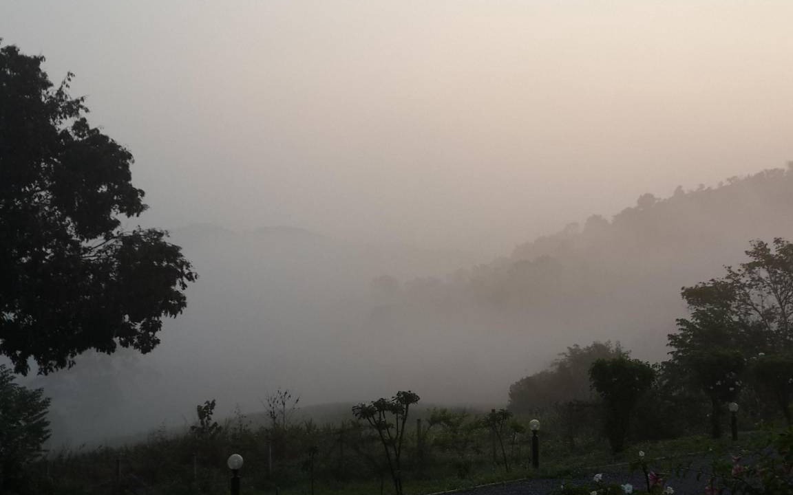 Photo of Outdoor in Wang Mi
