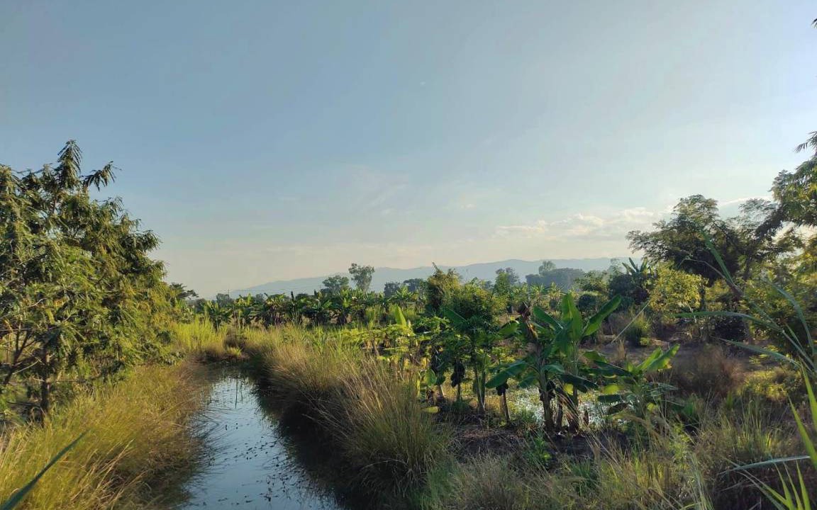 Photo of Others in Phayao