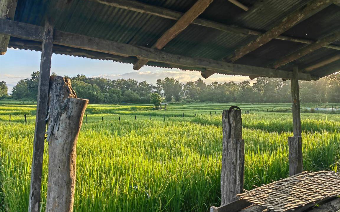 Photo of Others in Na Noi