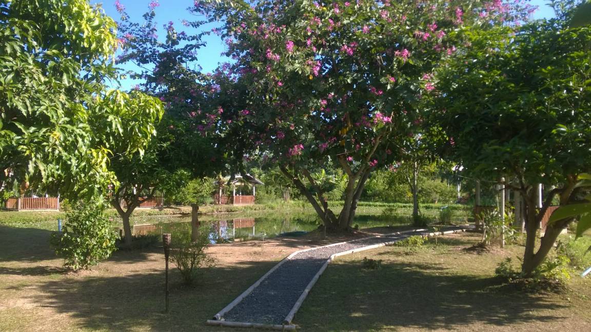 Photo of Outdoor in Mueang Kaeo