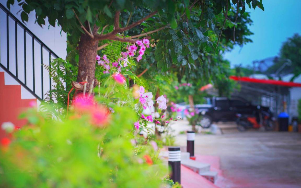 Photo of Others in Mueang Nga