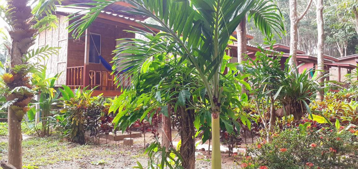 Photo of Others in Ko Lanta