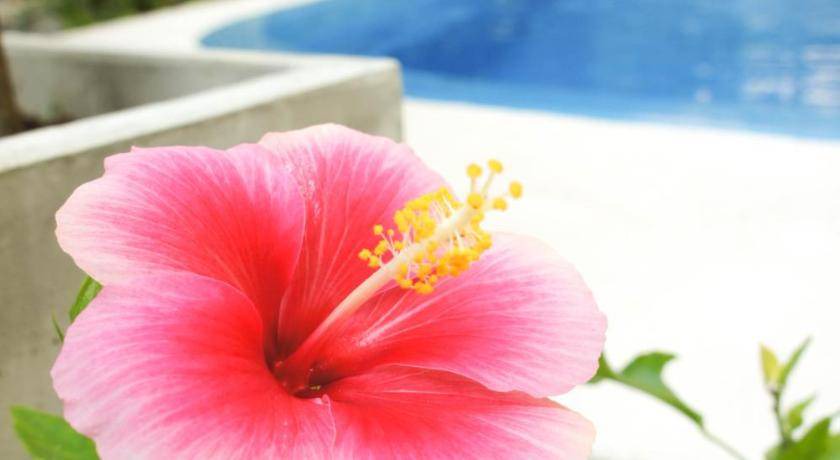 Photo of Others in Hua Hin