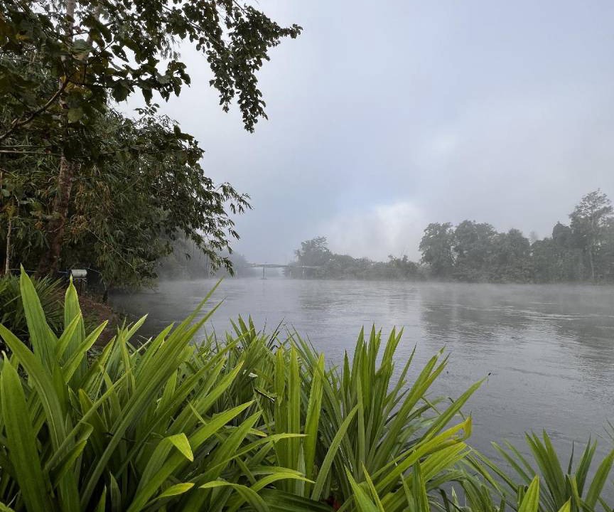 Photo of Others in Thong Pha Phum