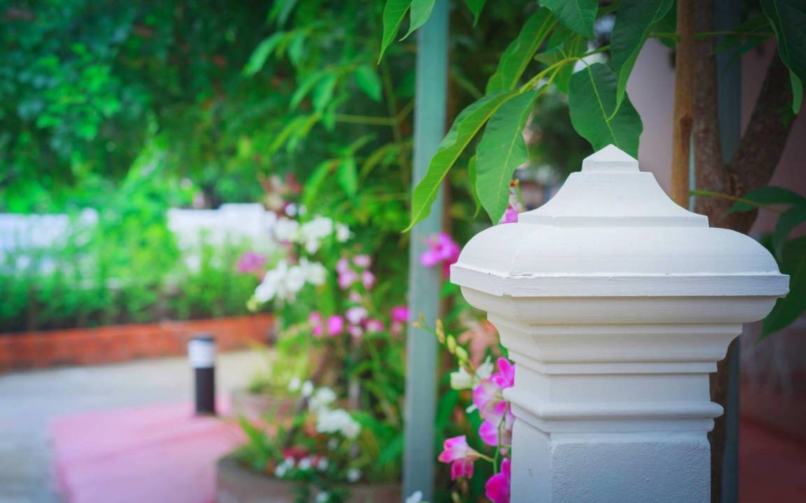 Photo of Others in Mueang Nga