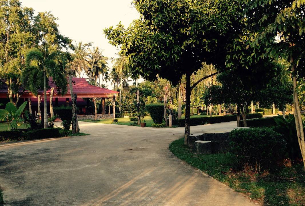 Photo of Others in Makham Tia