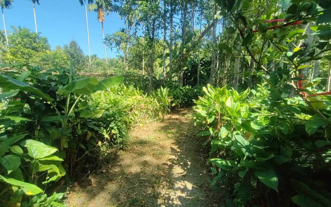 Photo of Others in Koh Chang Tai