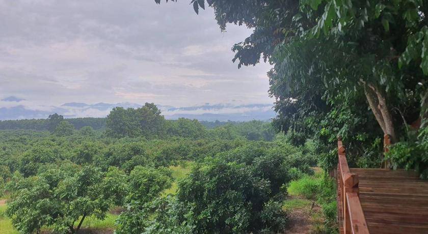 Photo of Others in Phrao