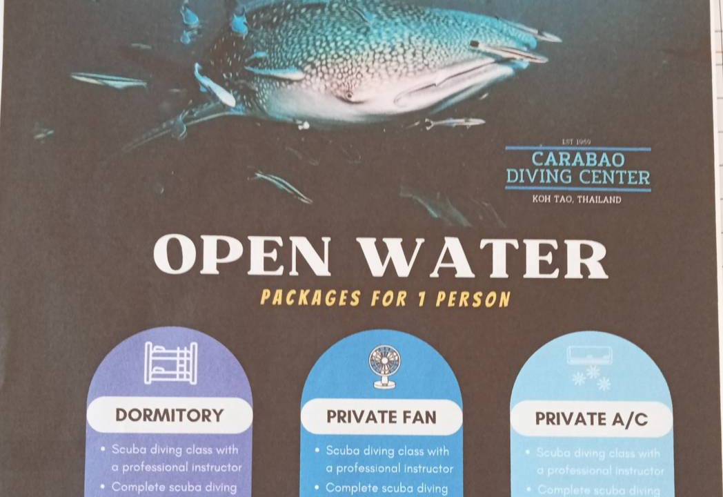 Photo of Others in Koh Tao