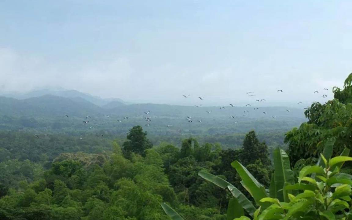 Photo of Others in Den Chai