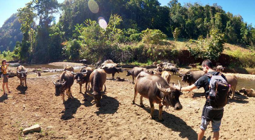 Photo of Others in Pangmapha