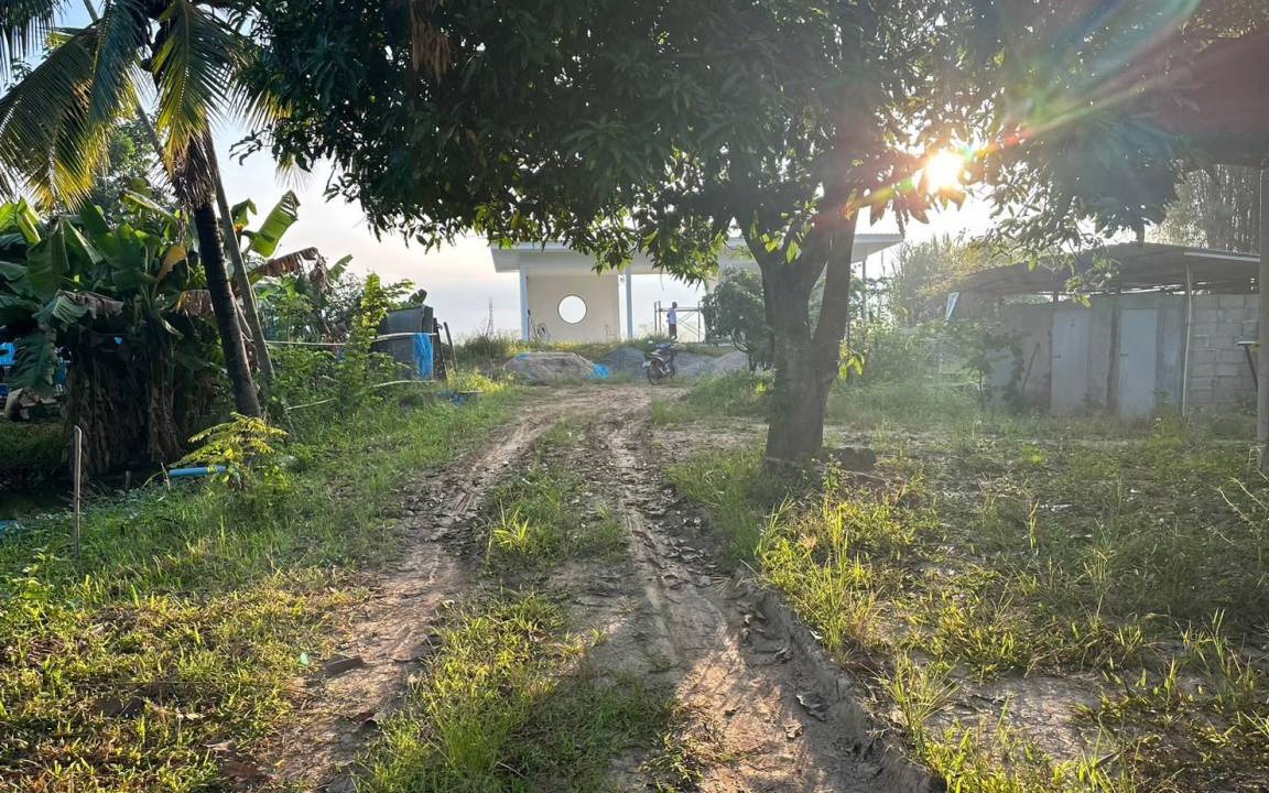 Photo of Others in Phayao