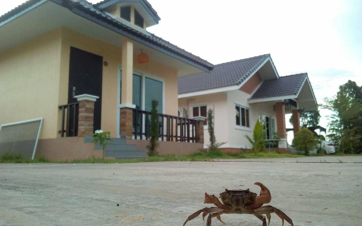 Photo of Others in Ubon Ratchathani