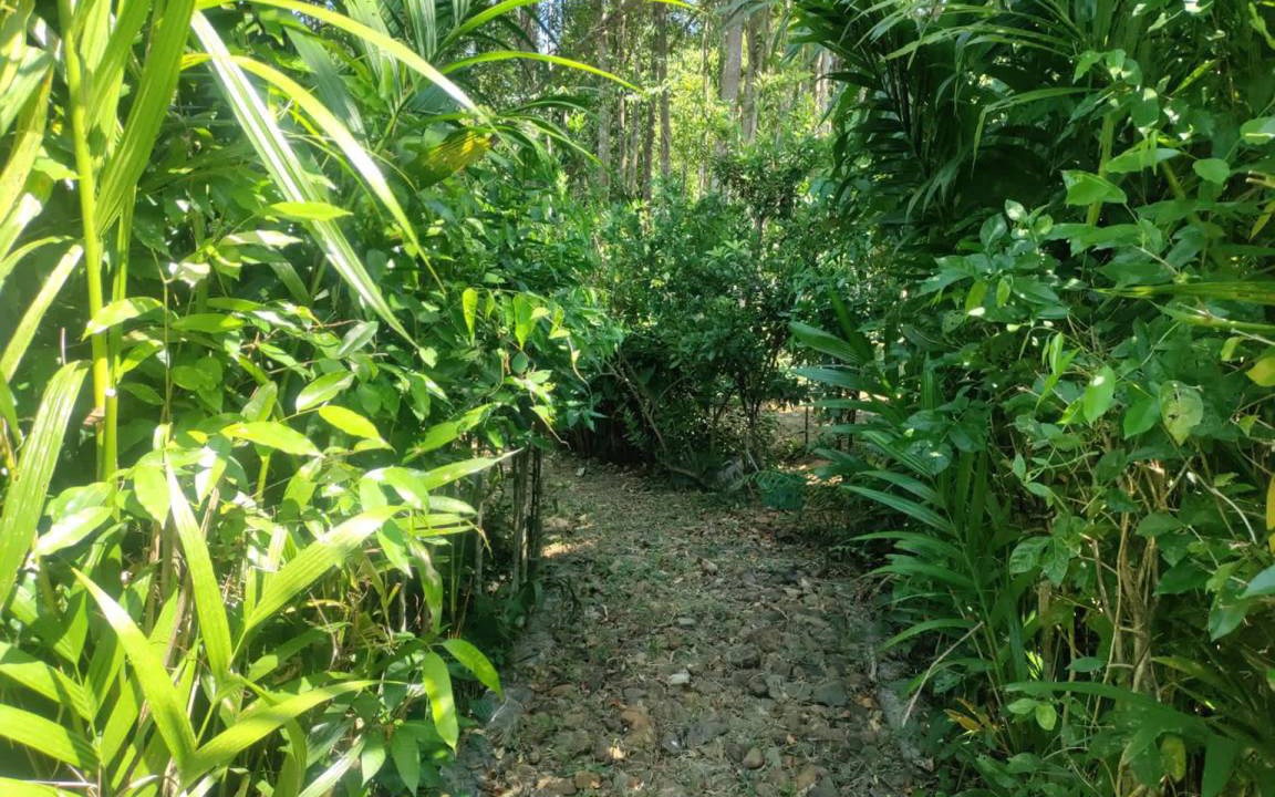 Photo of Others in Koh Chang Tai