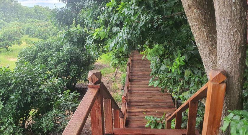 Photo of Others in Phrao