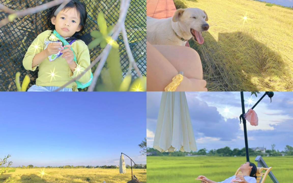 Photo of Others in Phayao