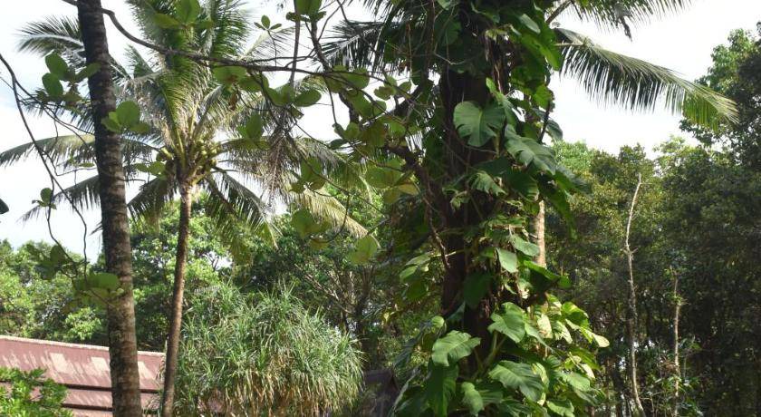 Photo of Others in Ranong