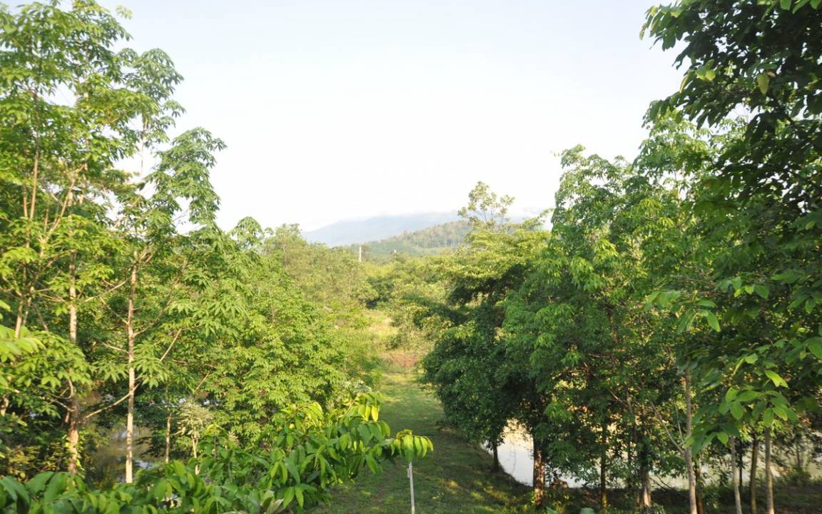 Photo of Others in Makham