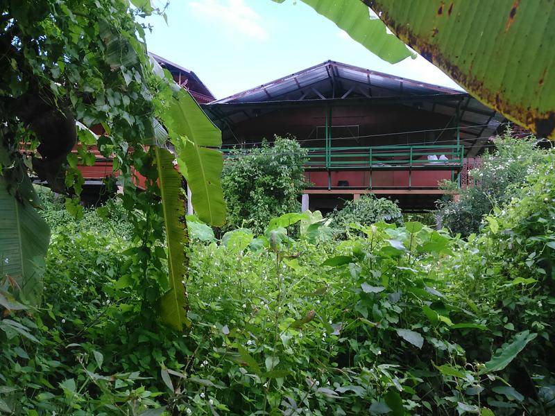Photo of Others in Pai
