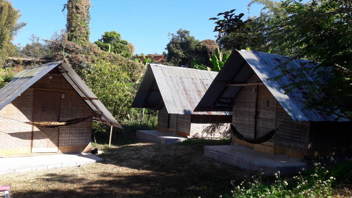 Photo of Others in Pai