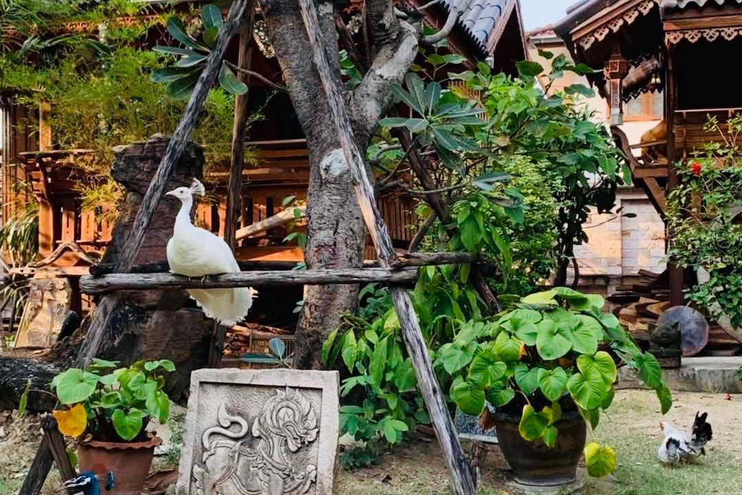 Photo of Others in Phra Khanong Nuea