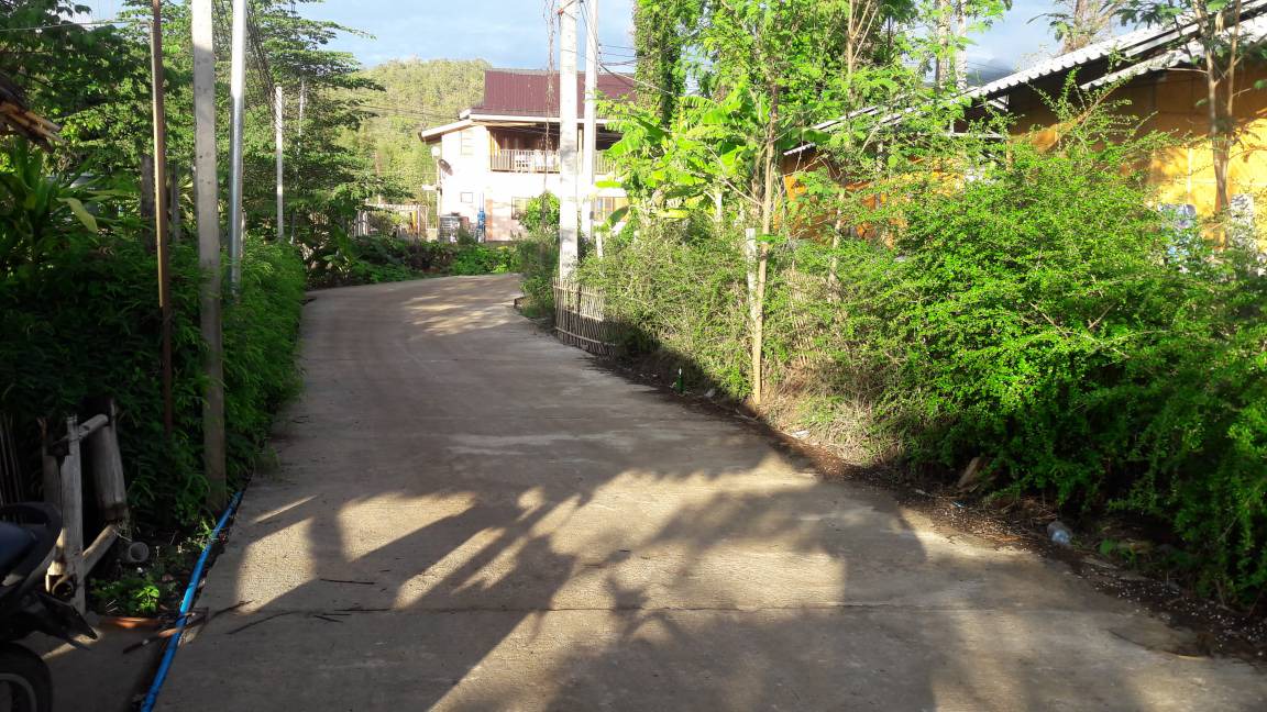 Photo of Others in Pai