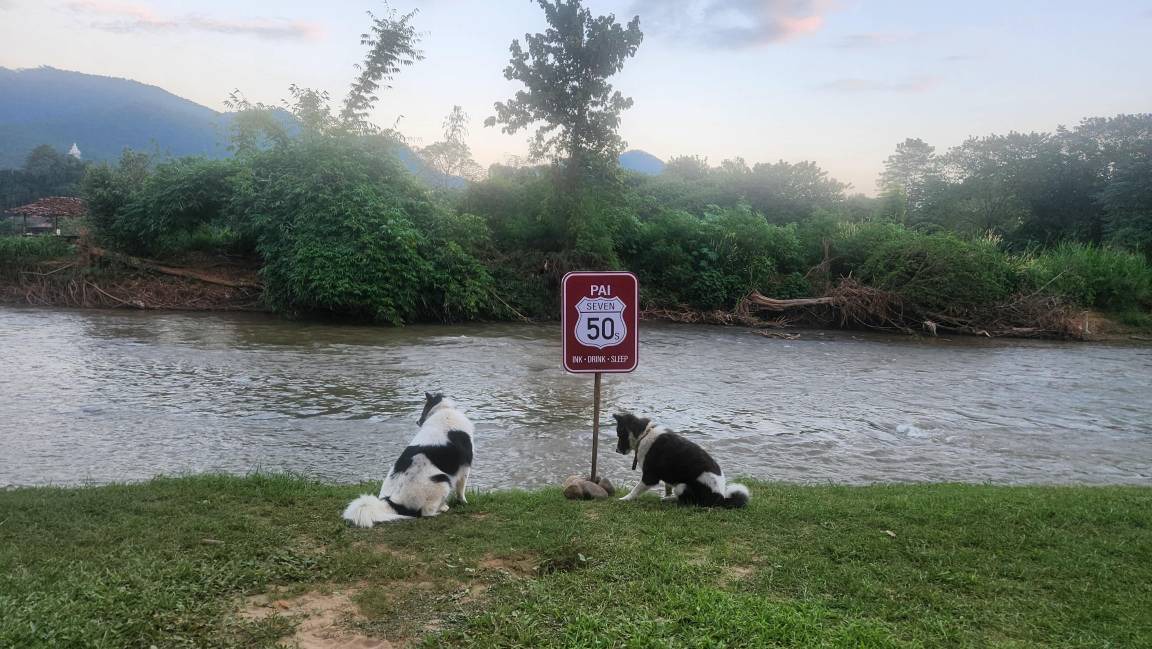 Photo of Others in Pai