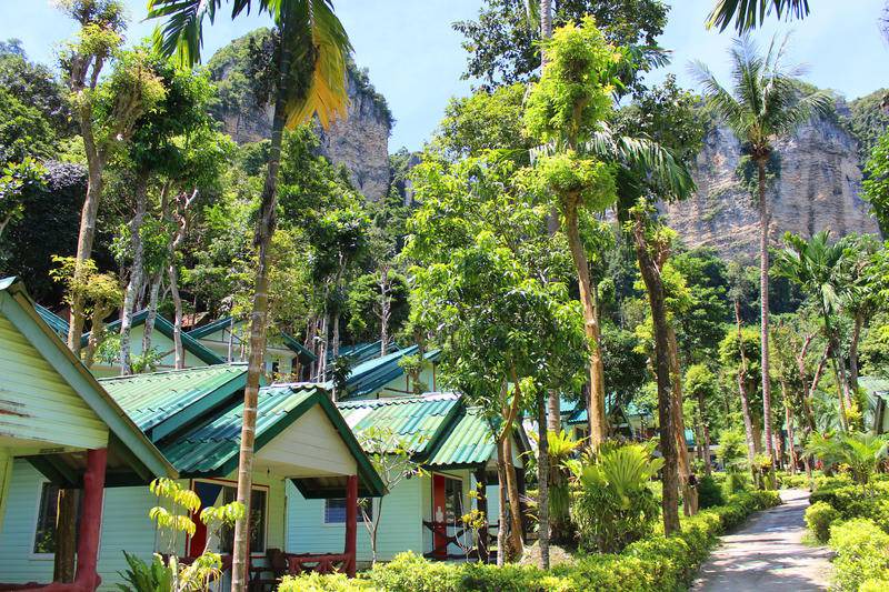 Photo of Others in Krabi