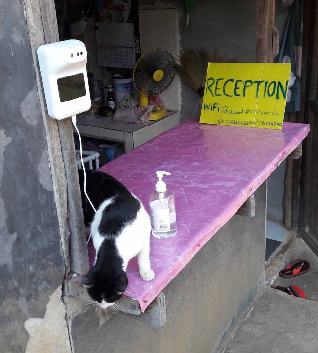 Photo of Others in Pai