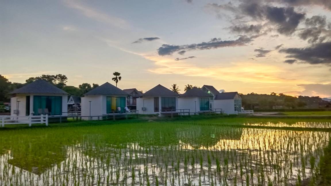 Photo of Buildings in Pua