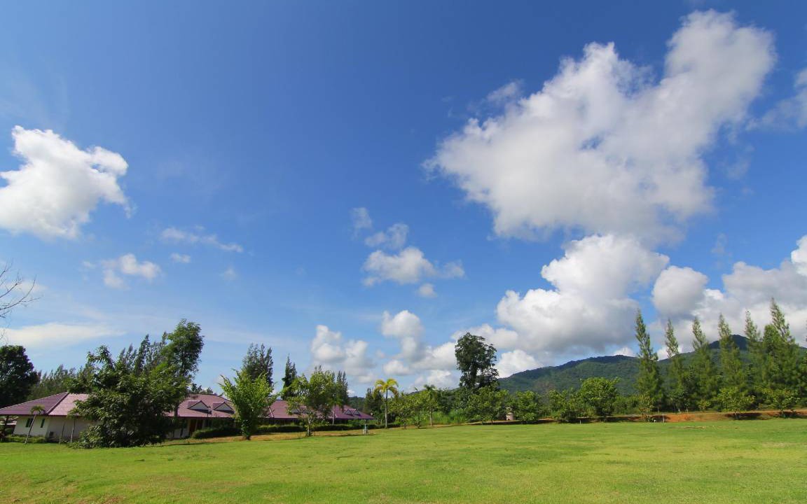 Photo of Others in Nong Ya Plong