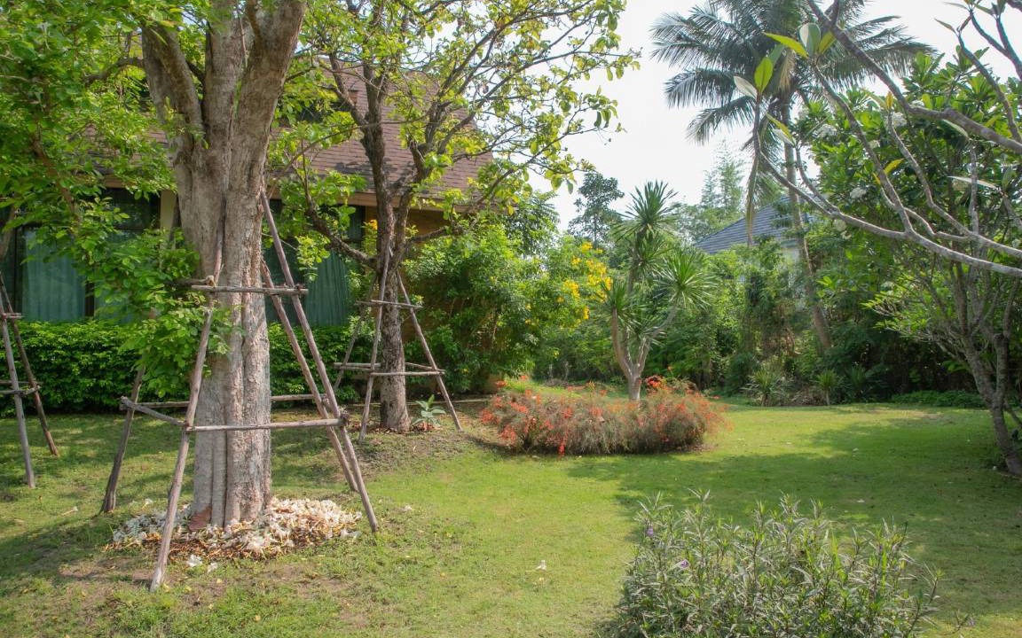 Photo of Others in Nong Sarai