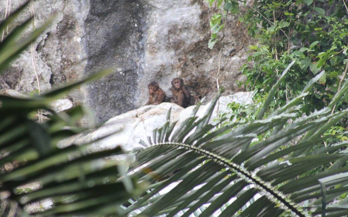 Photo of Others in Krabi