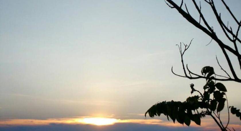 Photo of Others in Tha Thaewawong
