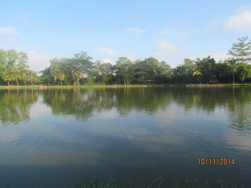 Photo of Others in Sukhothai